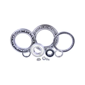 Bdl 6003 Deep Groove Ball Bearing 17*35*10 mm High Quality