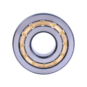 Bdl High Quality Cylindrical Roller Bearing Hot Sale