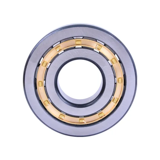 Bdl High Quality Cylindrical Roller Bearing Hot Sale