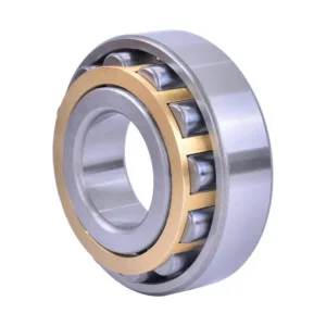 Bdl NF305 Cylindrical Roller Bearing for Electric Generator
