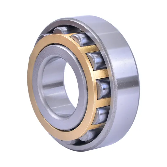 Bdl NF305 Cylindrical Roller Bearing for Electric Generator