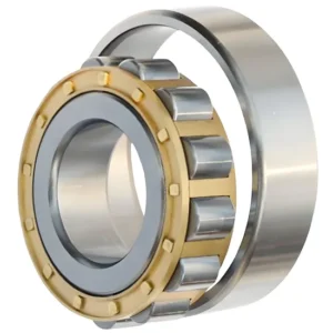 BDL NJ205E Cylindrical Roller Bearing for Internal Combustion Engine