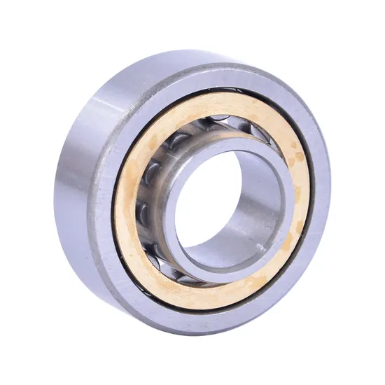 Bdl NJ305/C3 Cylindrical Roller Bearing for Reduction Gearbox