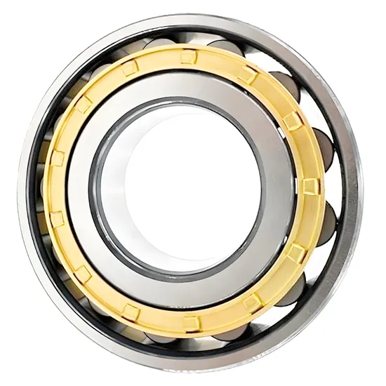 BDL NJ305E Cylindrical Roller Bearing for Rolling Mill