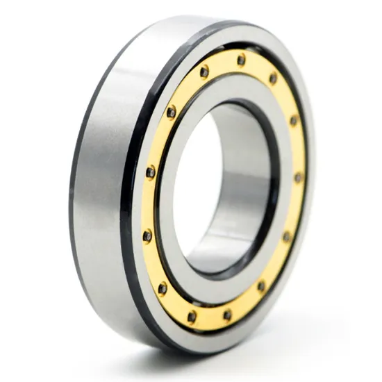 Bdl NJ305etn1 Cylindrical Roller Bearing for Vibrating Screen