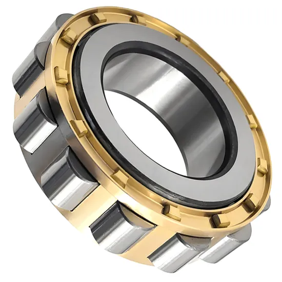 Bdl NF205 Machine Tool Spindle Cylindrical Roller Bearing