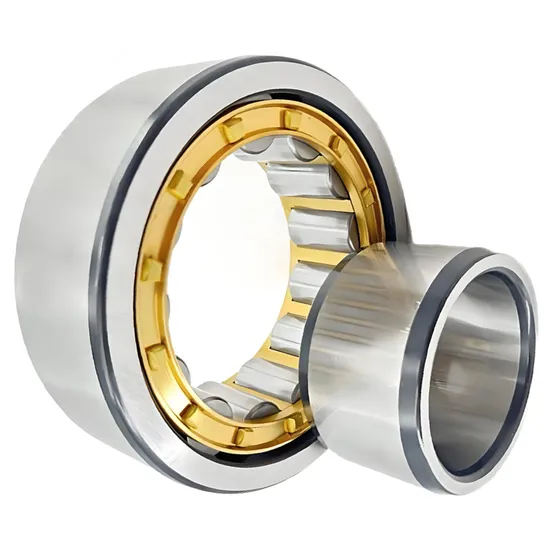 Bdl N222e NJ222e NF222e NU222e NUP222e Cylindrical Roller Bearing
