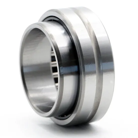 Bdl Needle Roller Bearing Na4872 Na4876 for Textile Machinery