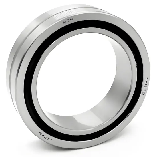 BDL NK110/30 NK110/40 Needle Roller Bearings High Quality