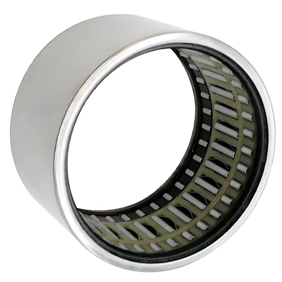 Bdl Needle Roller Bearing Nk19/16 Nk19/20 Nk20/16