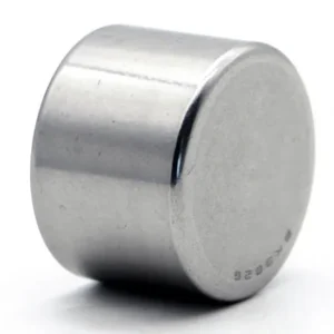 Bdl NK45/20 NK45/30 NK50/25 Needle Roller Bearings