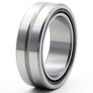 Bdl RNA4915 RNA4916 RNA4917 Needle Roller Bearings High Quality