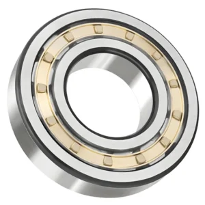 Bdl N305 Cylindrical Roller Bearing for Machine Tool Spindle