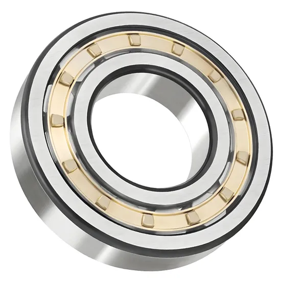 Bdl N305 Cylindrical Roller Bearing for Machine Tool Spindle