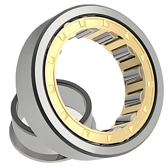 Bdl NJ217em NJ218em NJ219em Cylindrical Roller Bearing