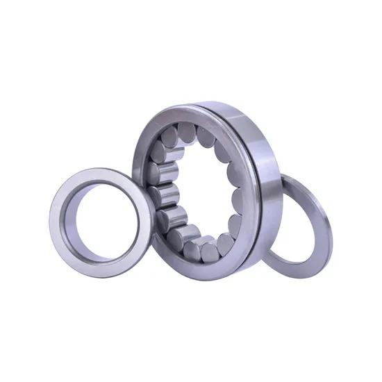 Bdl N203 Single Row Cylindrical Cross Roller Bearing