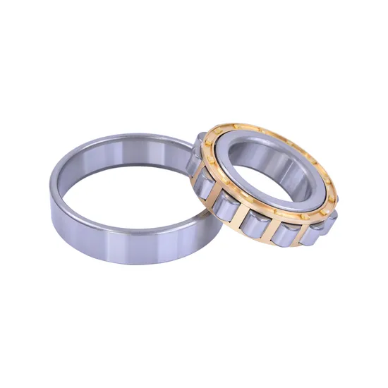 High Precision Cylindrical Roller Bearing N309 Nu309 NF309 Nj309 Nup309