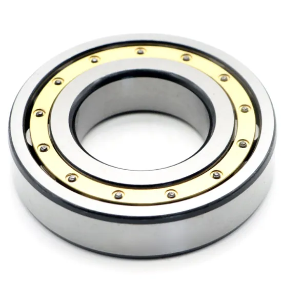 Factory Price Cylinder Roller Bearing Nu406 for Motor Water Pump