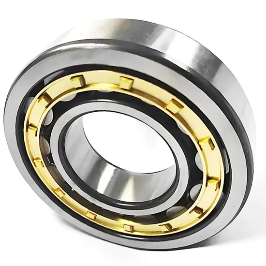 High Precision Bdl Cylindrical Roller Bearing Nn3011-Nn3013