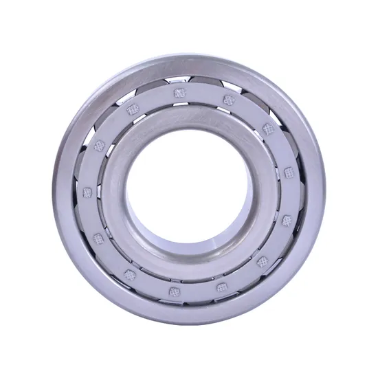 High Quality Single Row Nu Cylinder Roller Bearing