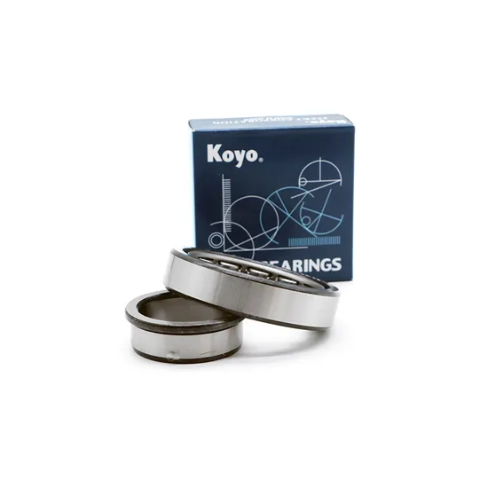 NF411em NF412em NF413em Cylindrical Roller Bearing