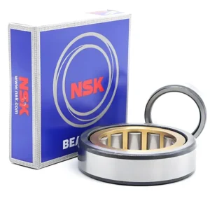 NSK Koyo NTN NF303em NF304em NF305em Cylindrical Roller Bearing