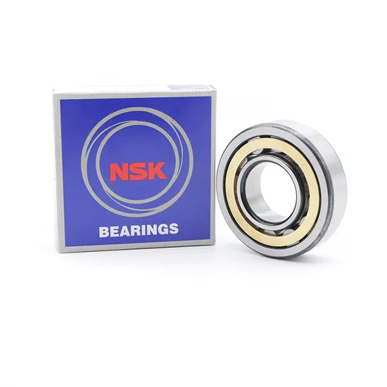 NSK NTN Koyo NJ417em NJ418em NJ419em Cylindrical Roller Bearing