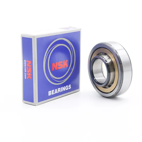 NSK NTN Cylindrical Roller Bearing Nu2226em Nu2228em Nu2230em