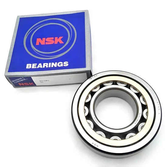 NSK Cylindrical Roller Bearing NJ420em NJ421em NJ422em