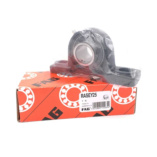 Stainless Steel Pillow Block Bearing P F Fs FC FL C T ODM OEM