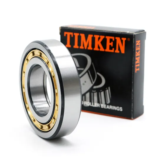 Timken NACHI NSK N2304em NJ2304em Cylindrical Roller Bearing