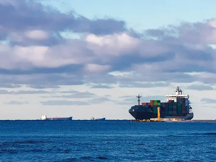 Marine and offshore engineering bearings