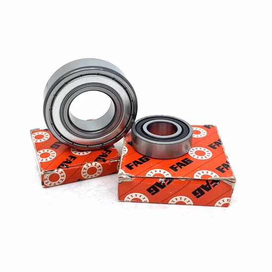 FAG 6807z 6309-2RS1/C3 6206 6205 Deep Groove Ball Bearing for Washing Machine