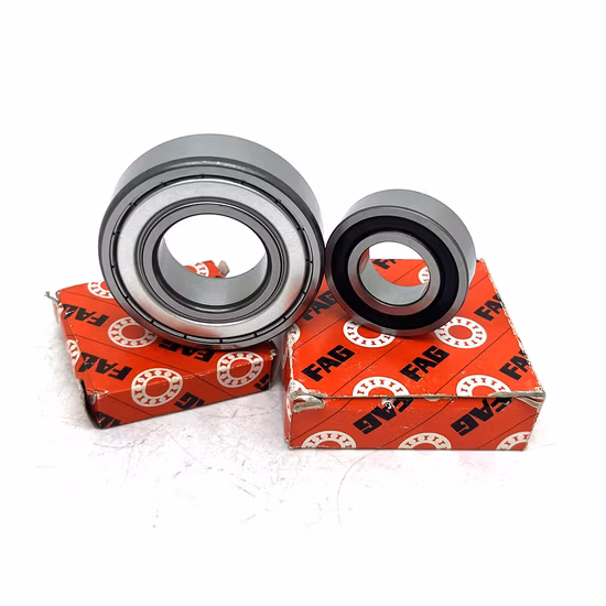 FAG Deep Groove Ball Bearing 6301 695-2RS 6201 6000 6203 6205 16304 for Auto Parts [WARN] draft identifier mismatch