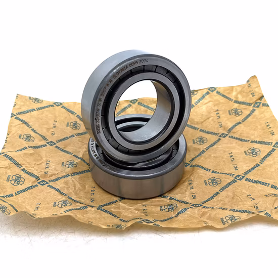Genuine INA NUP307 NUP2207 NUP207 Cylindrical Roller Bearing [WARN] draft identifier mismatch