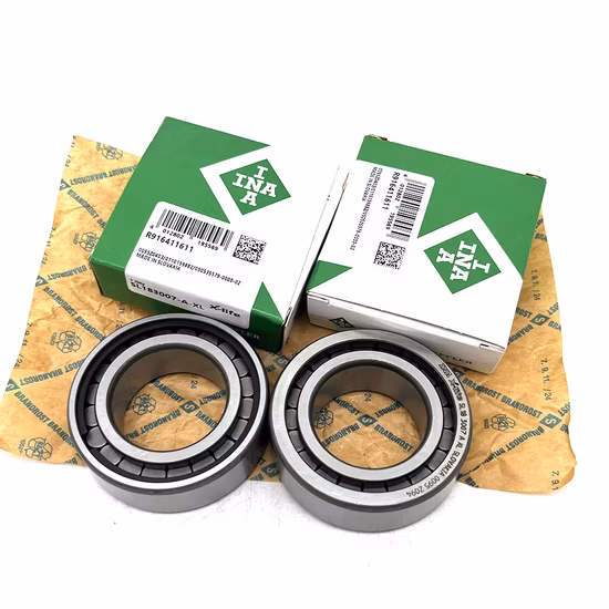 Genuine INA Nup411 Cylindrical Roller Bearing for Dry Cleaning Machine [WARN] draft identifier mismatch