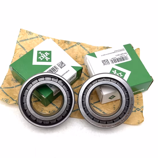 INA F-234879 Cylindrical Roller Bearing for Hydraulic Pump Genuine Authorized [WARN] draft identifier mismatch