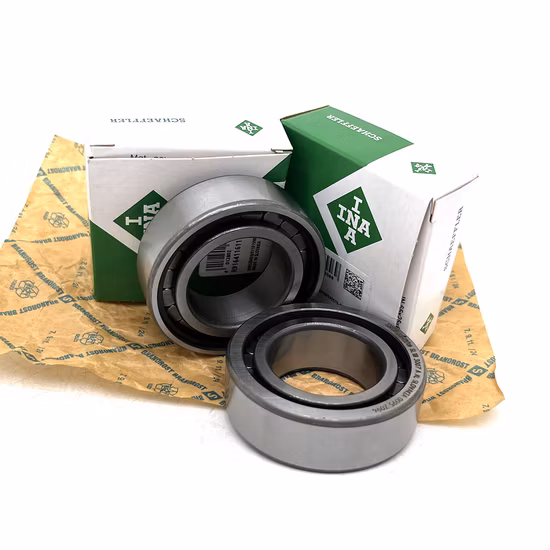INA N1013 N1014 N1015 N1016 SL183007-A-XL Cylindrical Roller Bearing for Auto Parts [WARN] draft identifier mismatch