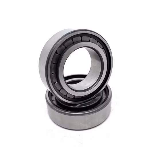 INA NJ409 NJ210 NJ2210 NJ310 NJ2310 SL183007-A-XL Cylindrical Roller Bearing for Excavator