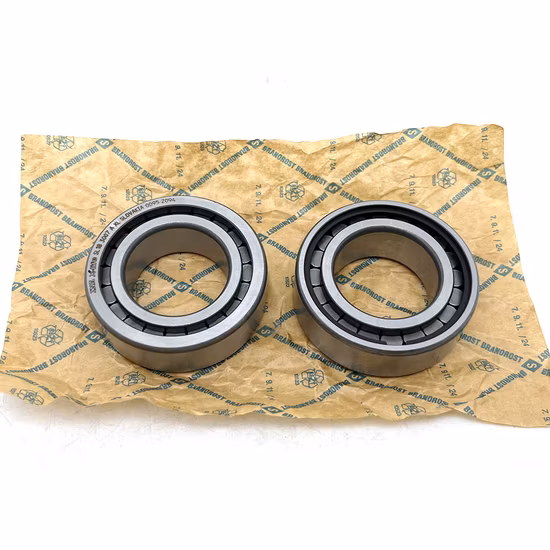 INA NUP214 NUP413 NUP2313 Cylindrical Roller Bearing for Drying Machine [WARN] draft identifier mismatch