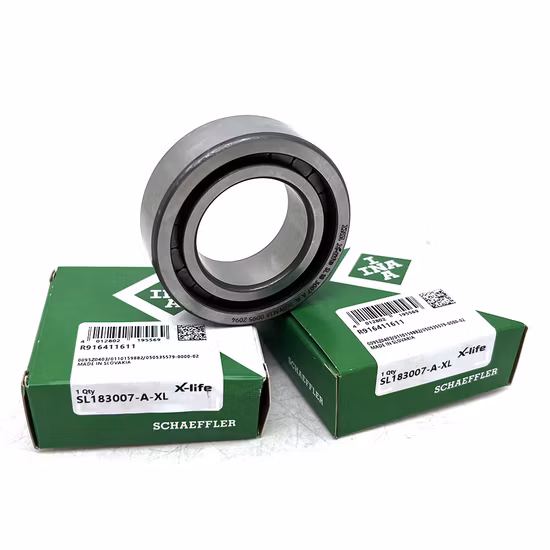 INA NUP216 NUP415 NUP315 SL183007-A-XL Cylindrical Roller Bearing for Pumping Machinery