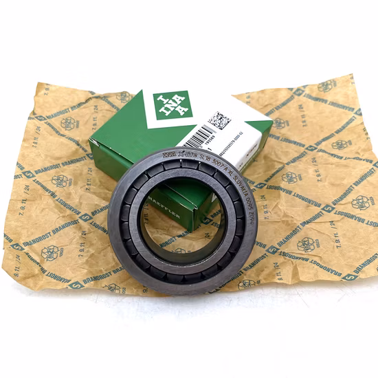 INA SL183007-A-XL NU2216 NU316 Cylindrical Roller Bearing for Textile Machinery [WARN] draft identifier mismatch
