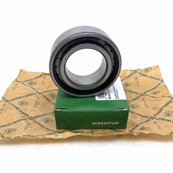 INA SL183007-A-XL NU409 NU1010 Cylindrical Roller Bearing for Machine Tool [WARN] draft identifier mismatch