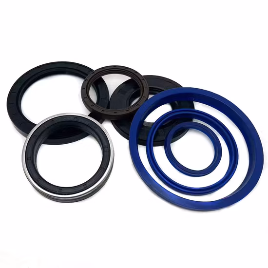 Salt Mist Resistant Rotary Shaft Oil Seal for Marine Hydraulic Equipment