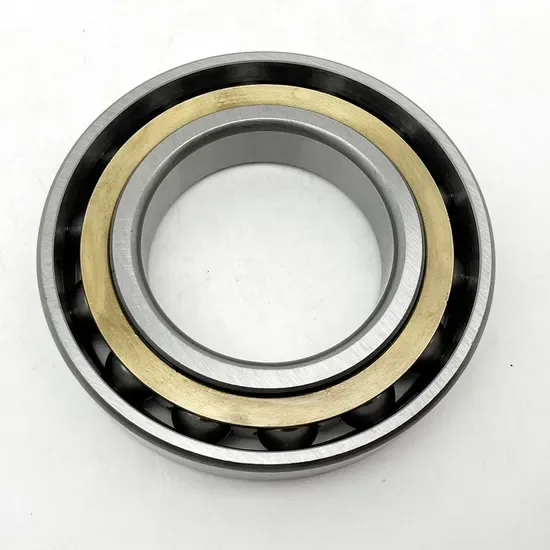 B7021C T P4S B7021E T P4S Stainless Steel Angular Contact Ball Bearing [WARN] draft identifier mismatch
