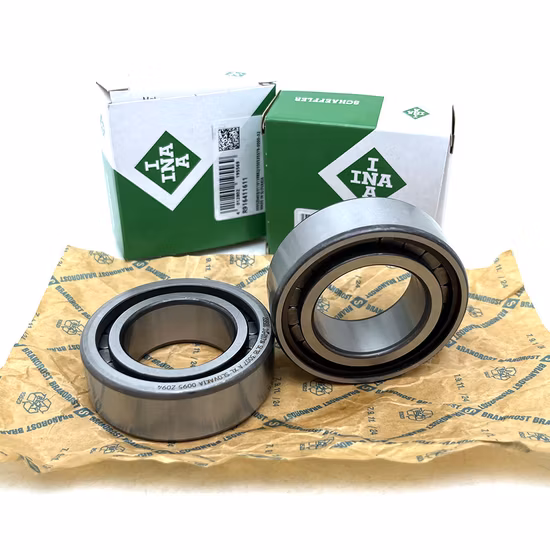 X&S N202 N204 N1005 N1006 N1007 SL183007-A-XL Cylindrical Roller Bearing