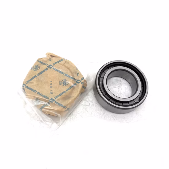X&S SL183007-A-XL NJ2305 Cylindrical Roller Bearing for Drilling Machine [WARN] draft identifier mismatch